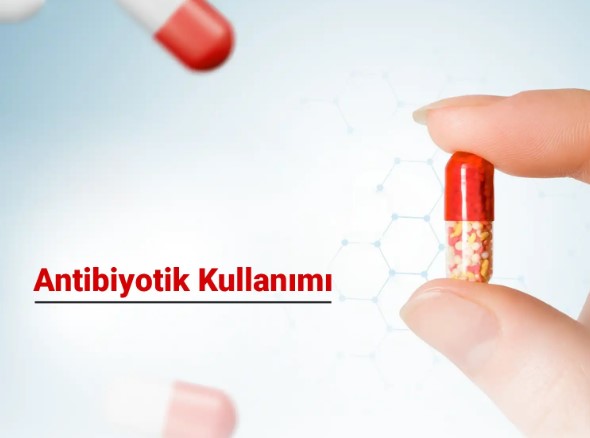 Antibiyotik Direnci ve Toplum Sağlığına Etkisi