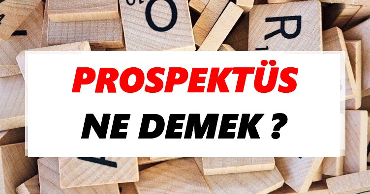 Prospektüsler Neden Önemlidir ve Nasıl Okunur?